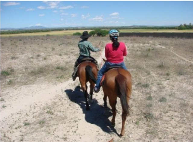 Caminos de San Miguel